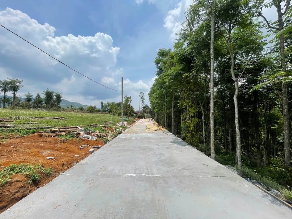 Đất thổ cư trung tâm phường B'lao - TP. Bảo Lộc - Giá chỉ 1.45 tỷ!