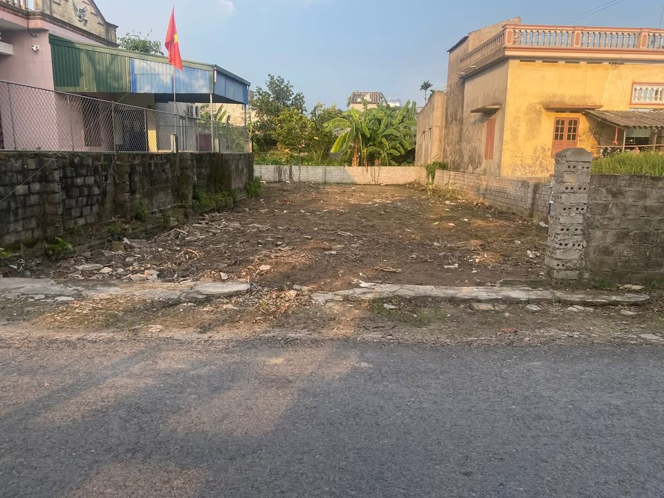 Đất thổ cư Tứ Kỳ 226m² chỉ 1.9 tỷ - Cơ hội đầu tư tuyệt vời!