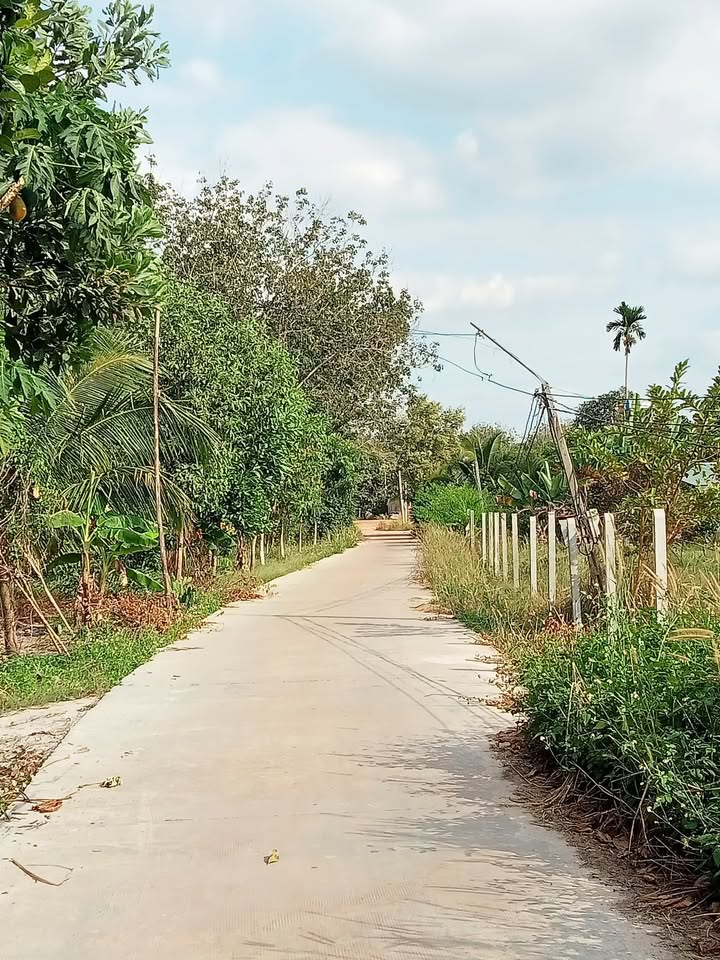 Đất nền Khu phố 5, phường Minh Hưng, 200m² - Vị trí đắc địa, thổ cư 100%!