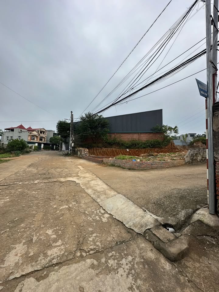 Đất nền Ngõ 3449 Đại lộ Hùng Vương 116m² giá chỉ 2 tỷ - Cơ hội không thể bỏ lỡ!