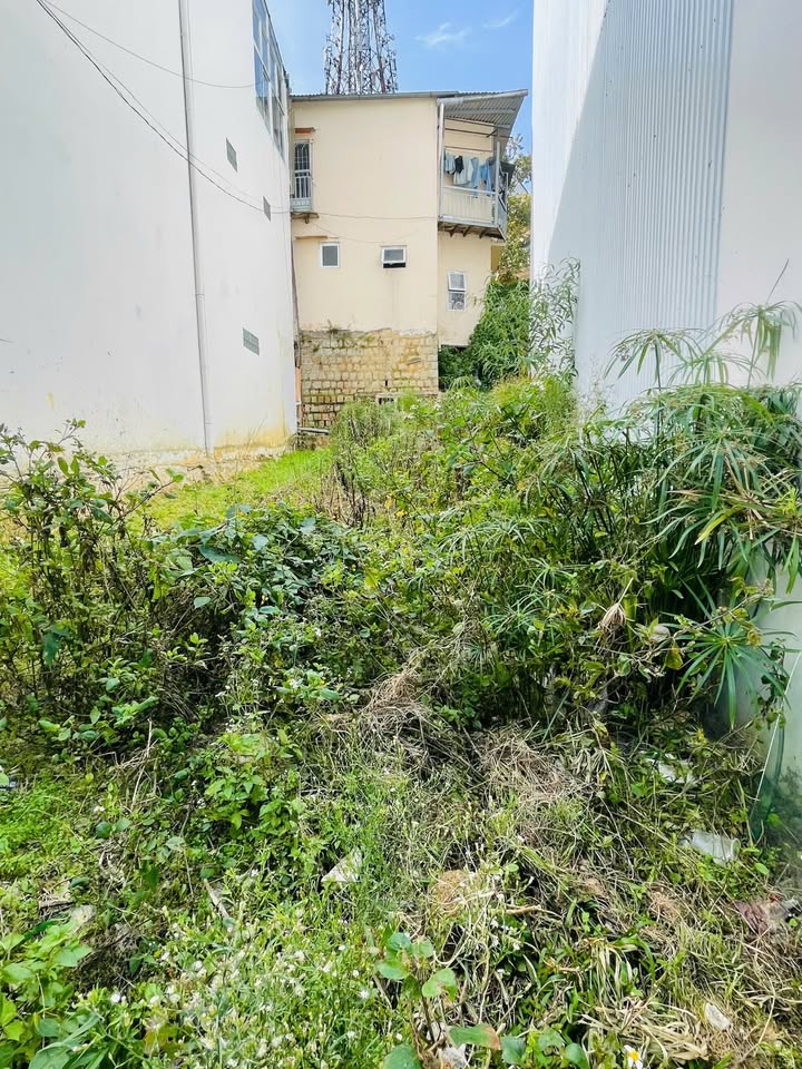 Bán đất Lê Đại Hành Đà Lạt 94m² giá 11 tỷ - Vị trí đắc địa gần hồ Xuân Hương!