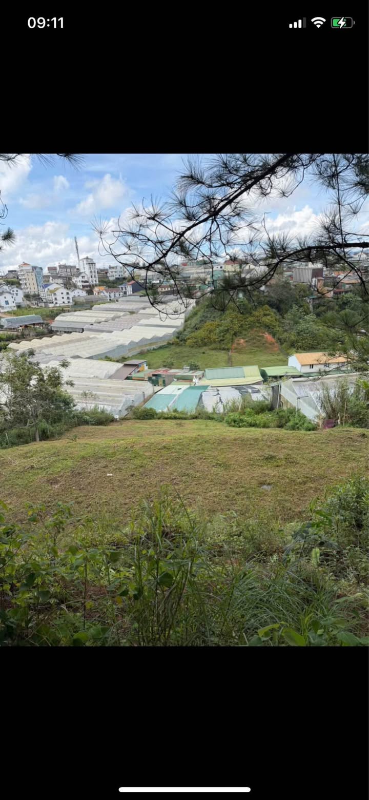 Đất nền đường Hoàng Văn Thụ, phường Cam Ly, Đà Lạt - 1141m² giá 6.5 tỷ - View rừng thông tuyệt đẹp!