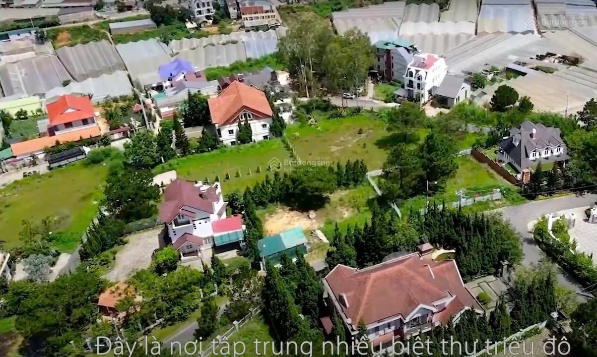 Đất bán Nguyễn Hữu Cảnh, Đà Lạt 860m² giá 42 tỷ - Cơ hội đầu tư tuyệt vời!