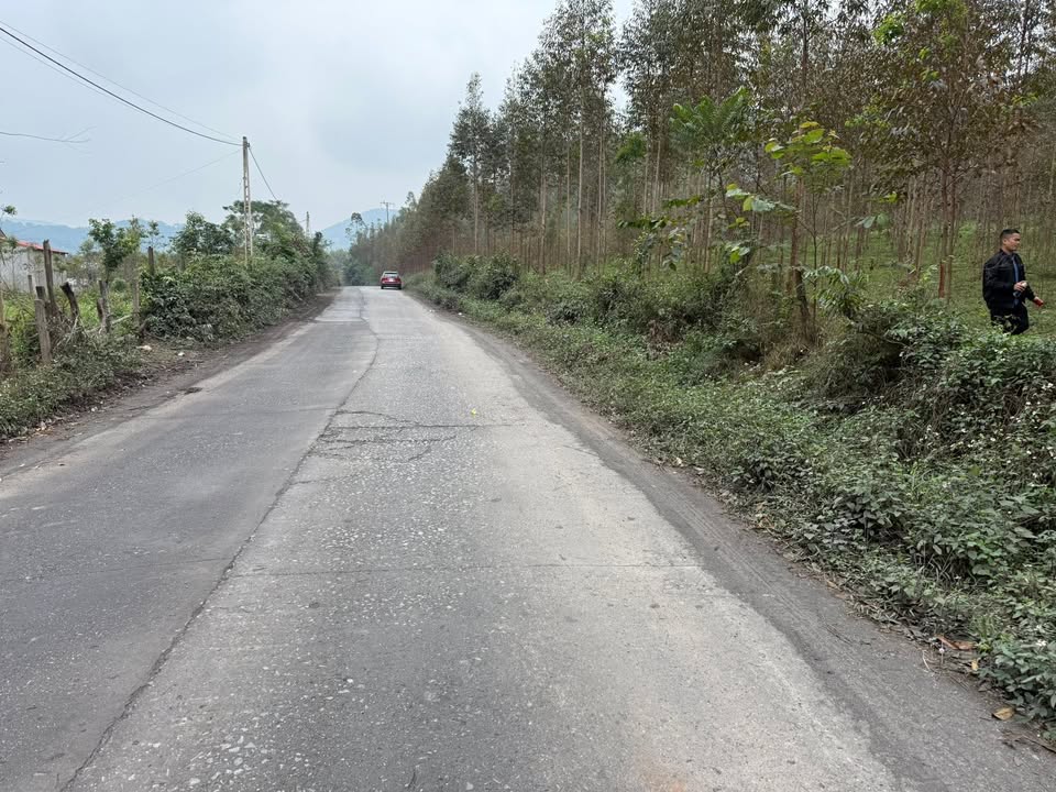 Đất nền Lục Sơn Lục Nam 6000m² giá 2 tỷ - Cơ hội đầu tư hấp dẫn!