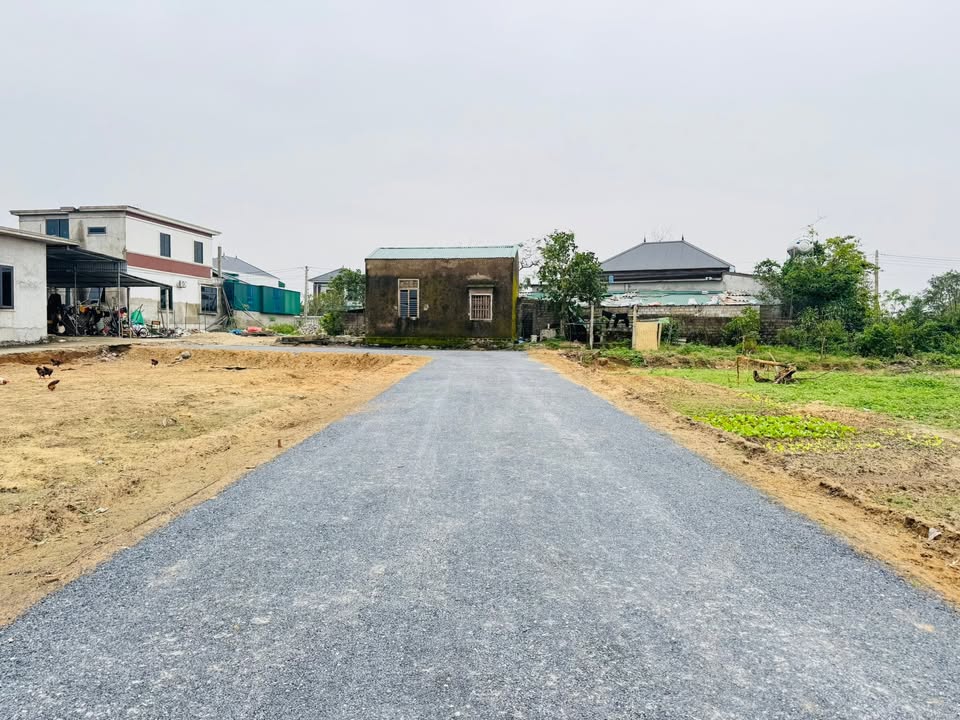 Đất nền Nghi Phong 103.8m² giá 1.5 tỷ - Đầu tư sinh lời ngay!