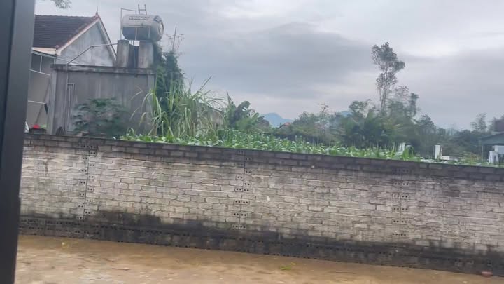 Đất nền xóm 3 Nghĩa Thuận, Thái Hòa 300m² giá 1 tỷ - Cơ hội đầu tư tuyệt vời!