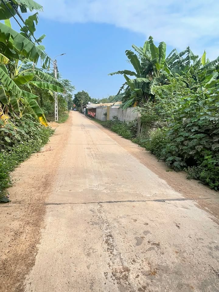 Đất nền Thanh Vân Tam Dương 110m² giá 930 triệu - Đường ô tô tránh nhau rộng rãi!