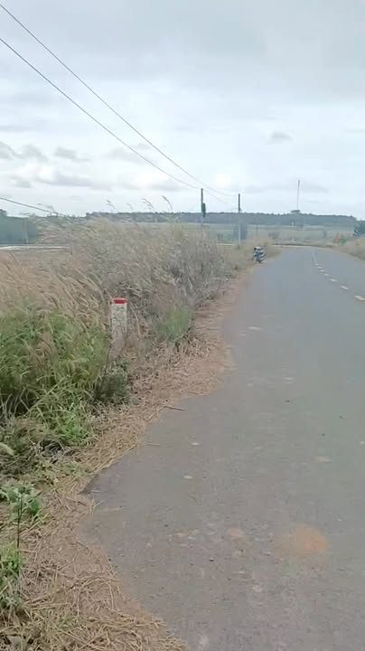 Đất nông nghiệp 2 sào tại Ea Súp Đắk Lắk, giá 475 triệu - Cơ hội đầu tư hấp dẫn!