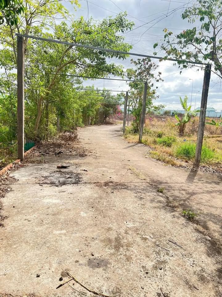 Đất rẫy Ea Huar Buôn Đôn 60000m² giá 4.6 tỷ - Cơ hội đầu tư hiếm có!