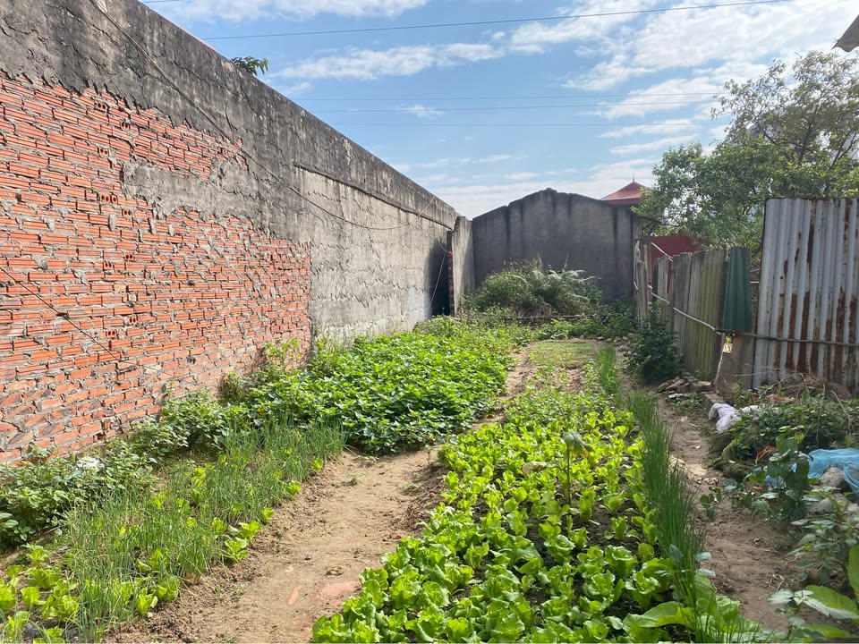 Đất nền Xuân Nộn, Đông Anh 61m² giá 3 tỷ - Siêu vị trí vàng, giao thông thuận lợi!