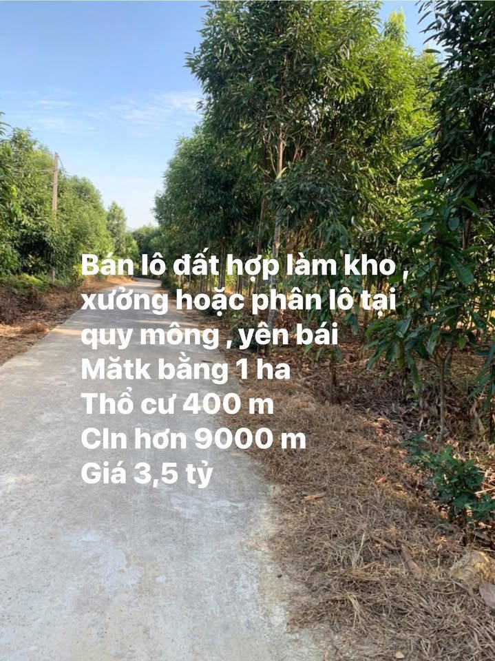 Đất thổ cư 400m² tại xã Quy Mông, Trấn Yên - Giá 3 tỷ, mặt tiền rộng, giao thông thuận lợi!