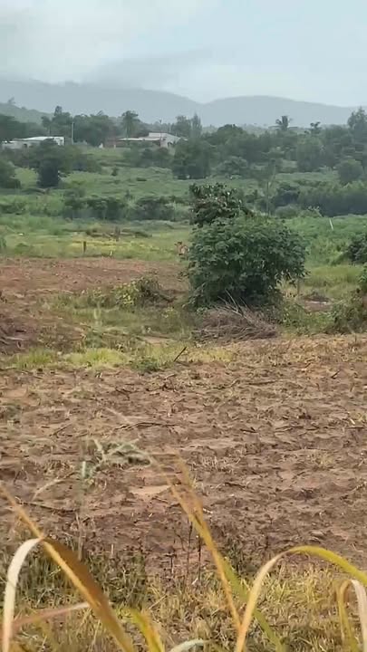 Lô đất 10.400m² tại Ninh Tây - 3 mặt tiền đẹp, giá đầu tư hấp dẫn