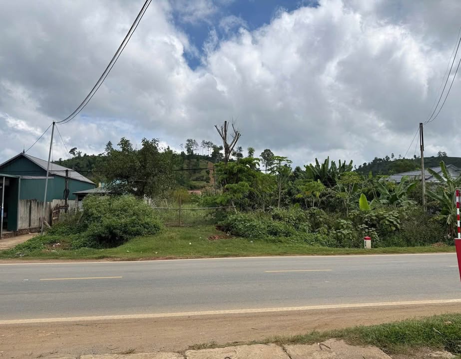 Đất nền 1.108m² mặt tiền Quốc lộ 6, xã Chiềng Mung - Cần bán gấp trước Tết!