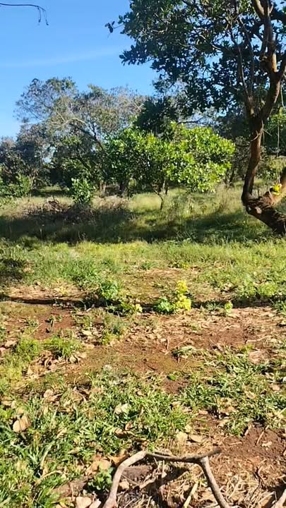 Đất Farm Phú Văn, Bù Gia Mập 22,000m² giá 1.65 tỷ - Đường đi riêng, gần dân cư!