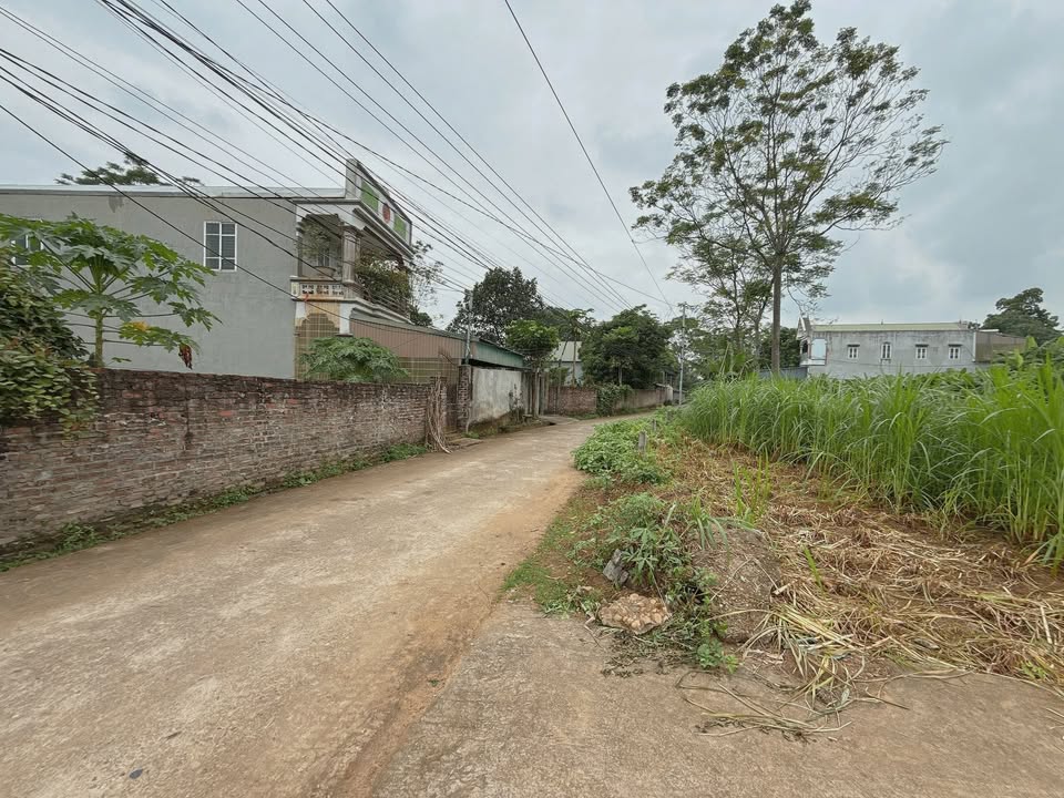 Đất nền Kim Đức 126m² giá chỉ 1.xxx tỷ - Tiện ích đầy đủ, vị trí đắc địa!