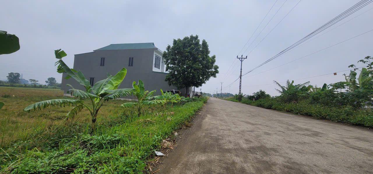 Đất thổ cư tại xã Văn Phong, Nho Quan 151m² - Vị trí đắc địa gần trường học!