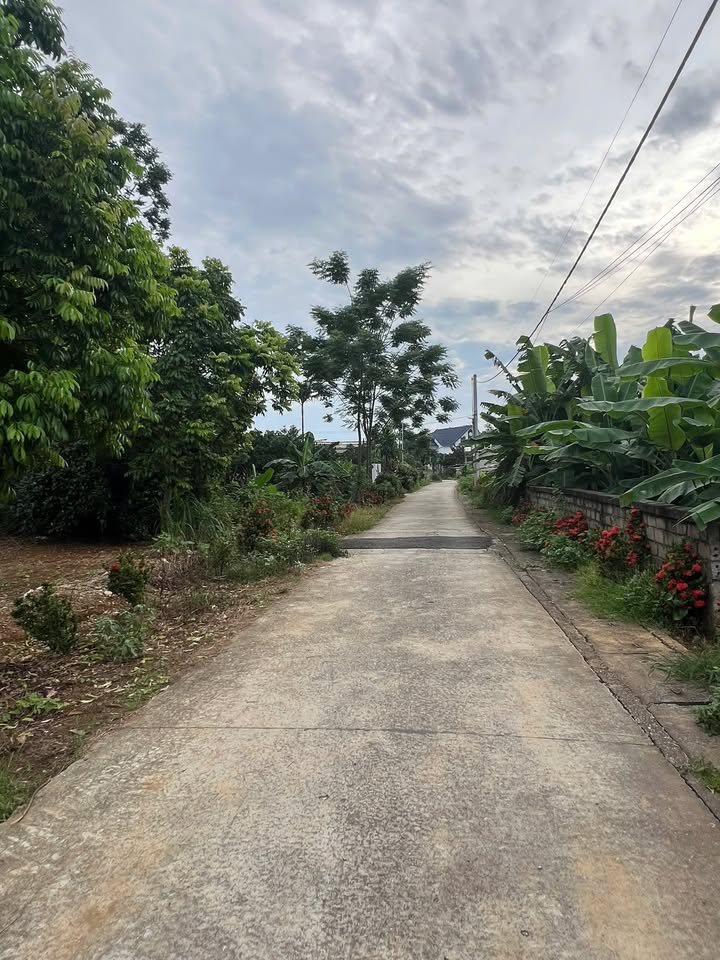 Đất vườn nghỉ dưỡng Thôn Phú Yên, Ba Vì 885m² giá 4 tỷ - Cơ hội đầu tư tuyệt vời!