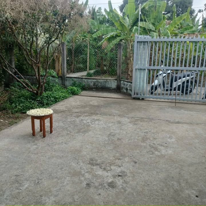 Nhà bán Phú Tân Bến Tre 301m² giá chỉ 900 triệu - Ô tô tới nơi!