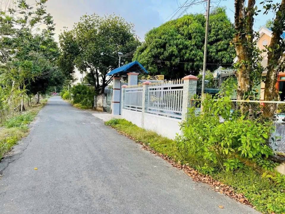 Đất mặt tiền đường nhựa 1.000m², xã An Viễn, Trảng Bom - Giá tốt cho nhà đầu tư!