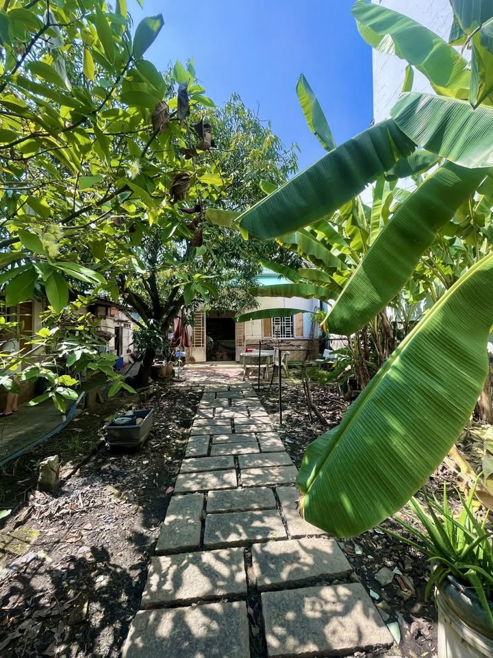 Lô đất đầu tư 768m² Gò Vấp - Khu villa cao cấp, giá 30 tỷ - Tiềm năng sinh lời lớn!