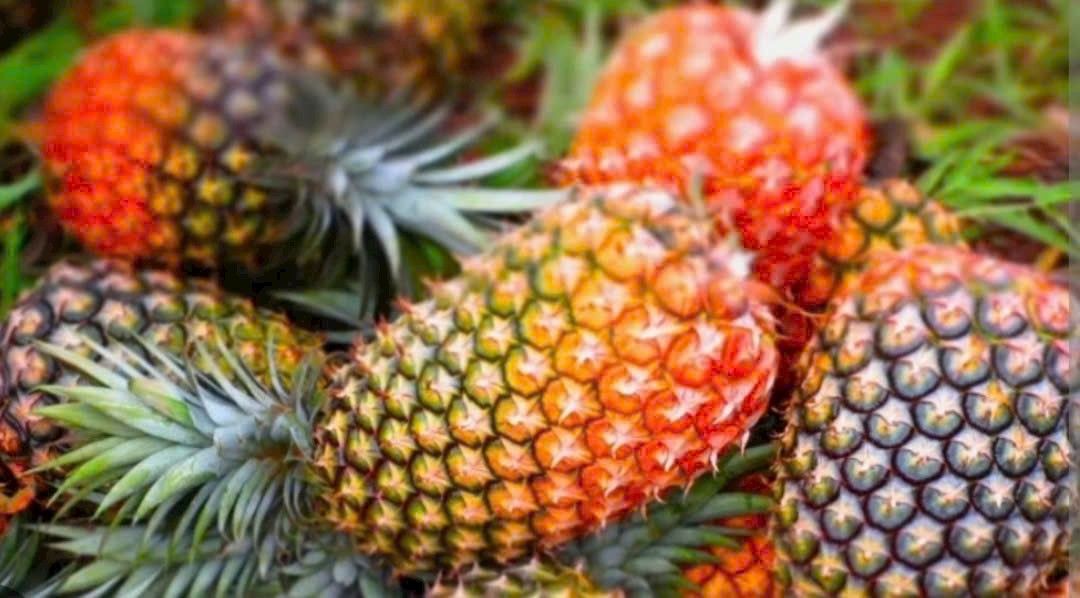 Đất Hưng Định 100m² giá 1.8 tỷ - Pháp lý rõ ràng, hỗ trợ vay ngân hàng!