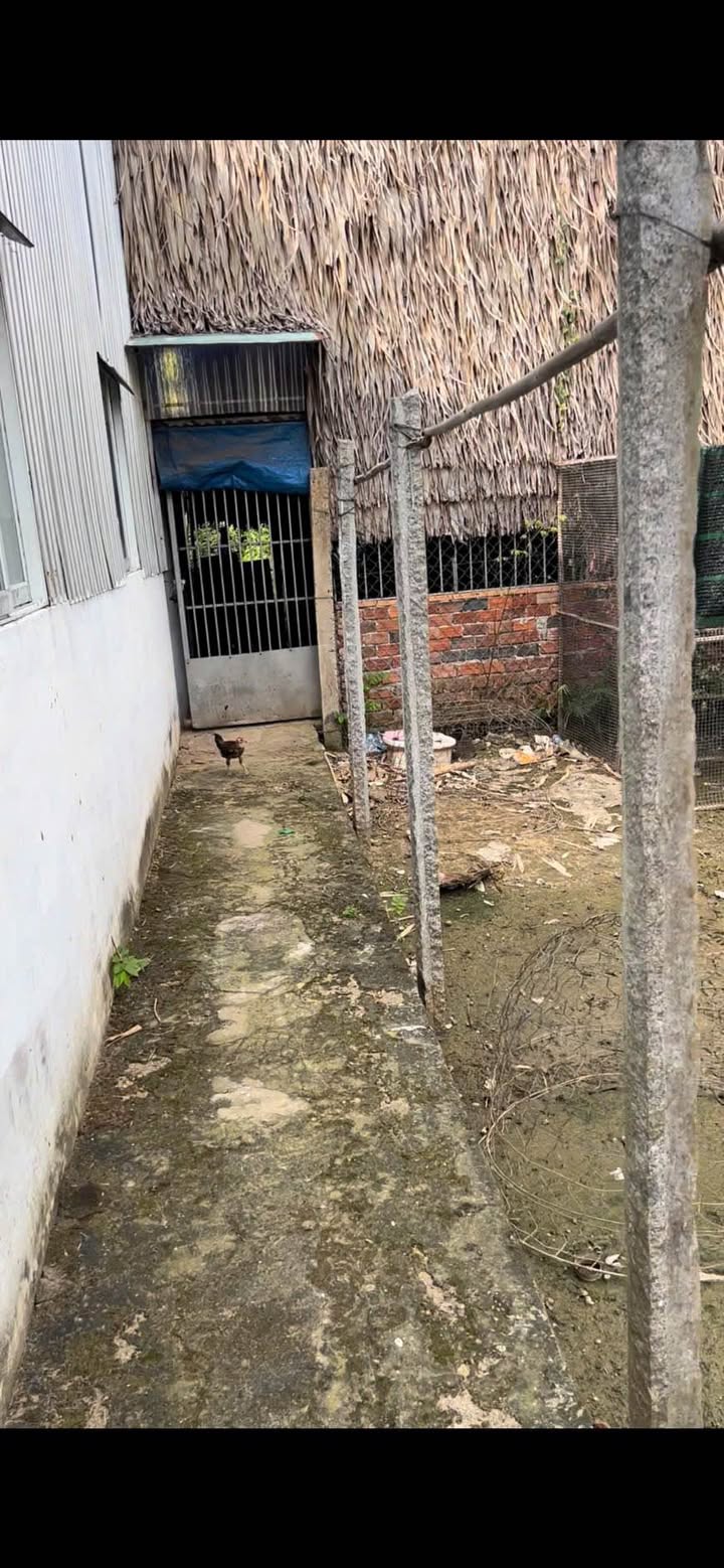 Đất nền 49m² đường Trần Hưng Đạo, Long Xuyên chỉ 289 triệu - Cơ hội đầu tư tuyệt vời!