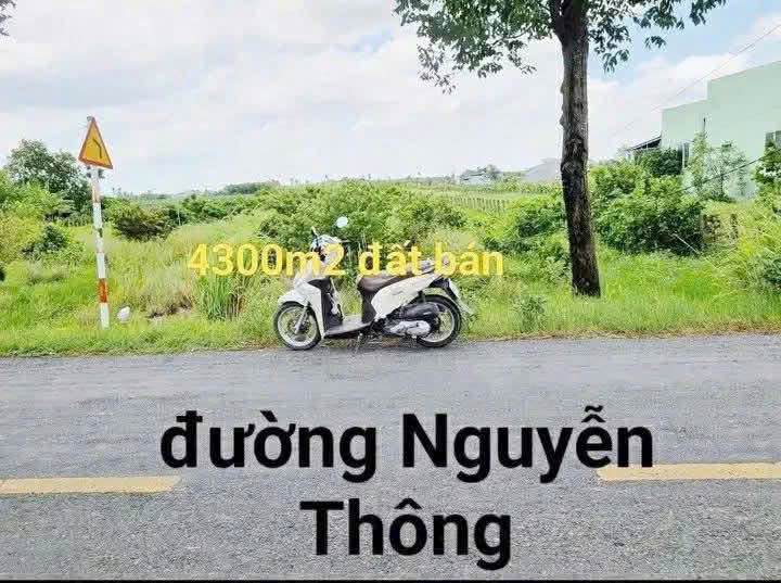 Đất nền 4328m² mặt tiền đường Nguyễn Thông, huyện Châu Thành, Long An - Giá chỉ 1.2 tỷ!