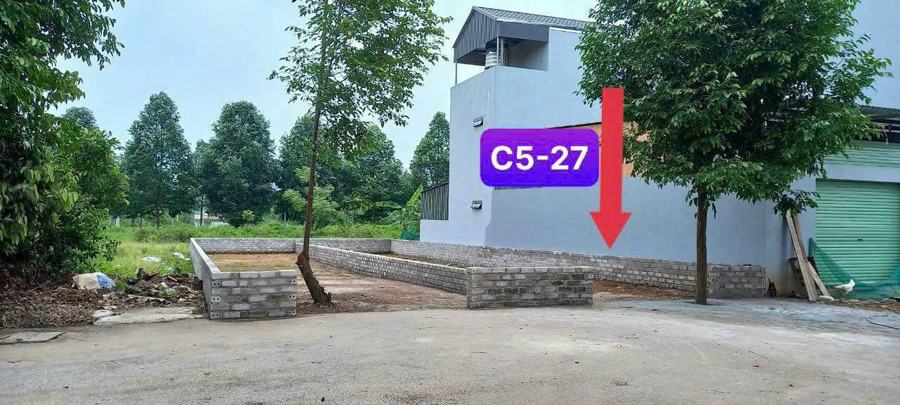 Đất nền 150m² tại Khu tái định cư Đại học Quốc gia Hà Nội - Giá chỉ 4x triệu/m², cơ hội đầu tư tuyệt vời!