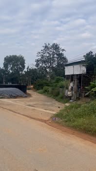 Đất thổ cư Phú Hộ 100m² giá 1.2 tỷ - Đầu tư sinh lời tuyệt vời!