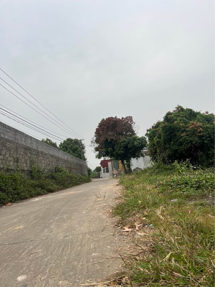 Đất nền Lan Mẫu - Lục Nam 1000m² giá chỉ 2 triệu/m² - Đầu tư sinh lời ngay!