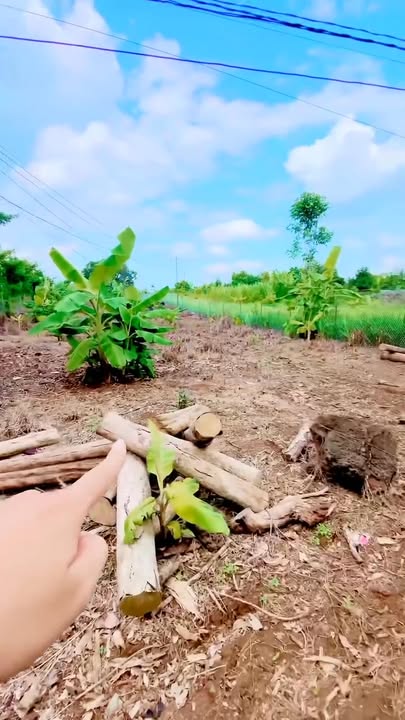 Đất nền Tân Phú Đồng Nai 1800m² giá 1.6 tỷ - Pháp lý sổ đỏ, vị trí đắc địa!