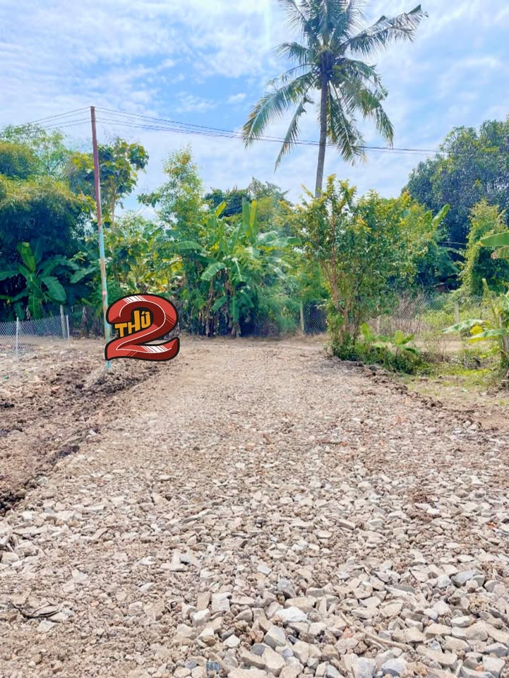 Đất thổ cư 100m² tại xã Tân Phú, Đồng Nai - Chỉ 360 triệu VND!