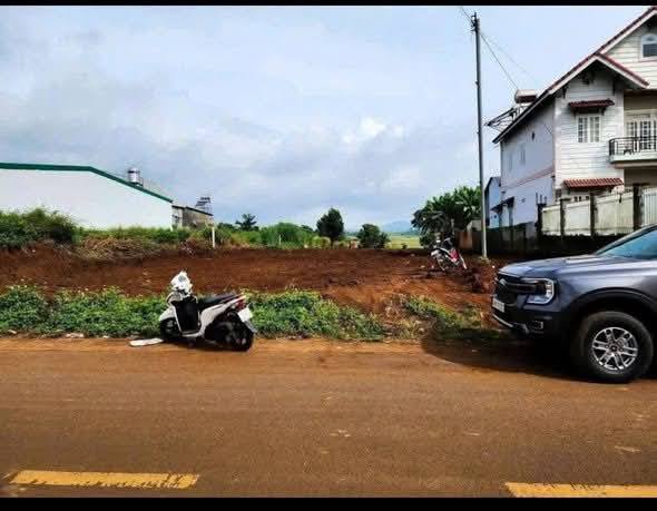 Đất mặt tiền đường nhựa Phú Hội, Đức Trọng 1900m² - Vị trí đắc địa, giá tốt!