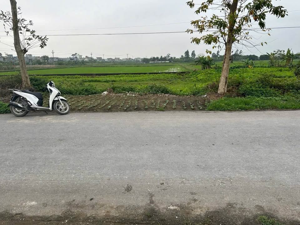 Đất nền góc Tân Hưng, Kiến Xương 116m² giá thỏa thuận - Kinh doanh sầm uất!