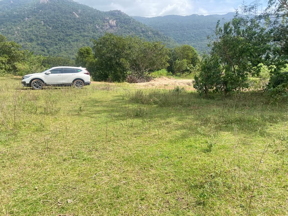 Đất nông nghiệp 1,5ha tại Phước Chính, Bác Ái - Giá chỉ 700 triệu!