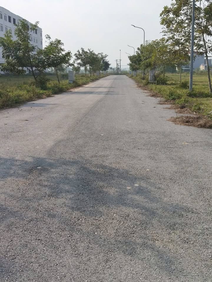 Đất dự án Lam Sơn Nexus Tân Mỹ Bắc Giang 90m² giá chỉ 4 tỷ - Đầu tư ngay!