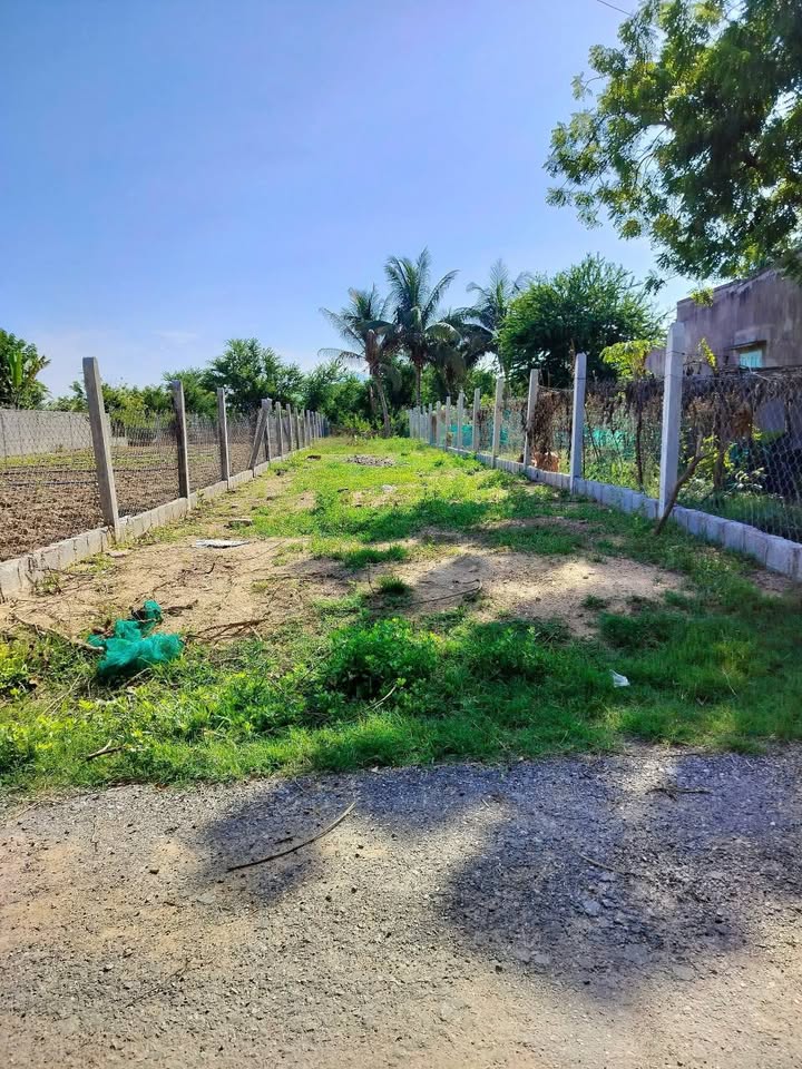 Đất Ninh Hải 245m² giá 700 triệu - Sổ hồng riêng, gần biển!