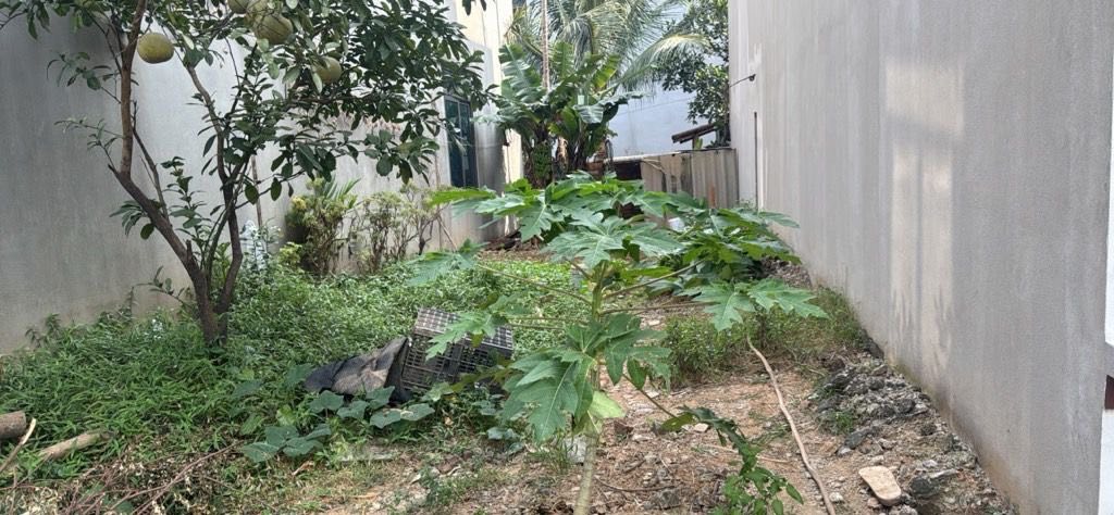 Đất thổ cư Mai Đình 73m² giá chỉ 2.1 tỷ - Đường ô tô vào tận nơi!