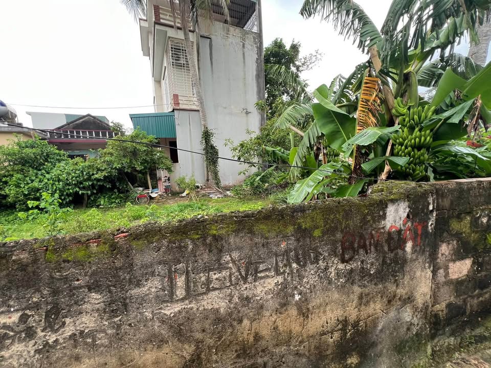 Đất nền Đông Hương 67m² giá 1 tỷ - Cơ hội đầu tư tuyệt vời!