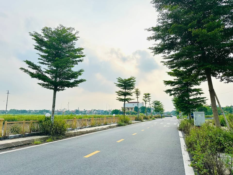 Đất nền KĐT Phúc Thành Lý Nhân 100m² giá 2.5 tỷ - Tiềm năng tăng giá vượt trội!