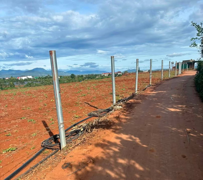 Đất nền Tân Hội, Đức Trọng 135m² - Đầu tư sinh lời ngay!