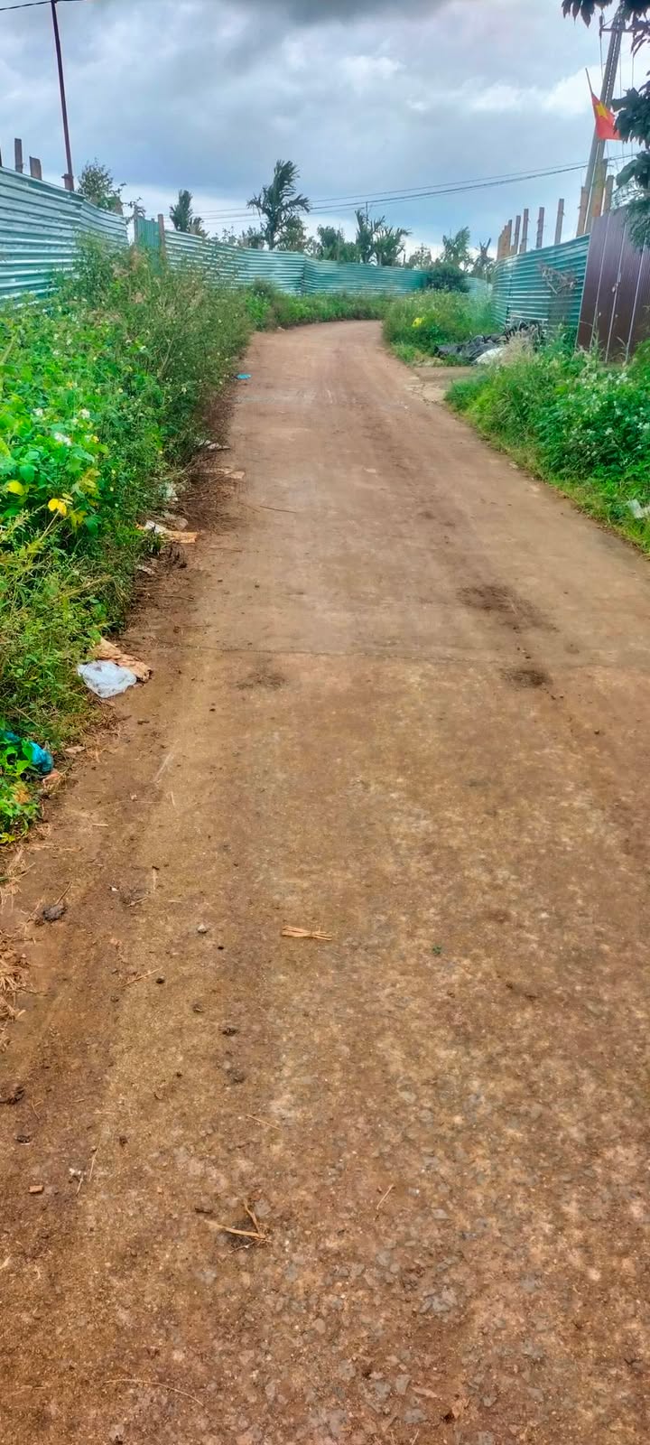 Đất nông nghiệp Phú Lộc Krông Năng 5.6 sào giá 2.4 tỷ - Đầu tư lý tưởng!