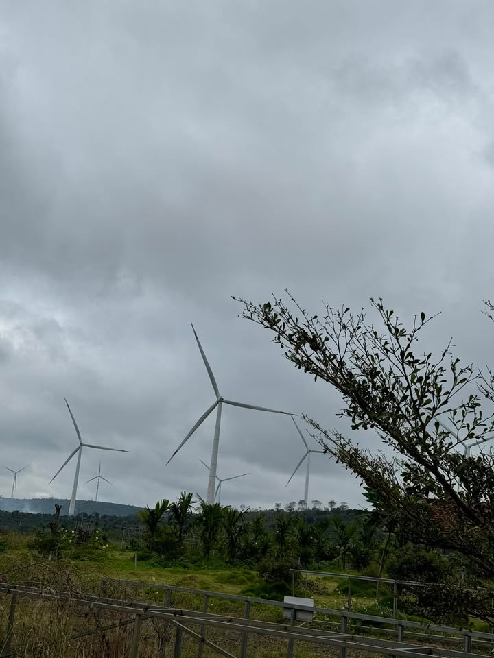 Lô đất mặt tiền Nguyễn Chí Thanh, Buôn Hồ 150m² giá 1.5 tỷ - Kinh doanh sầm uất!