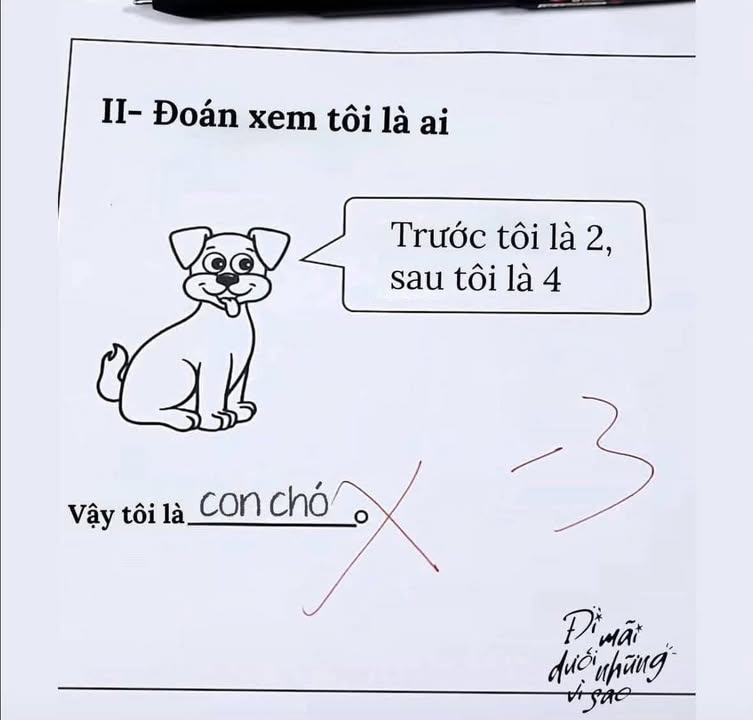 Đất đấu giá Nam Thanh 300m² giá chỉ 1.2 tỷ - Đầu tư sinh lời ngay!