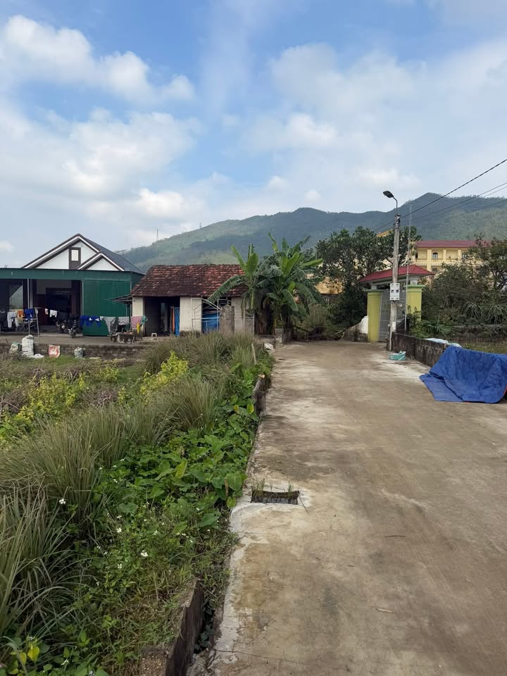 Đất nền Nam Anh, Nam Đàn 130m² giá 600 triệu - Đầu tư sinh lời ngay!