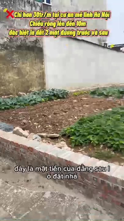 Đất nền Tam Đồng 223m² giá 7.153 tỷ - Không gian sống trong lành, thoáng đãng!