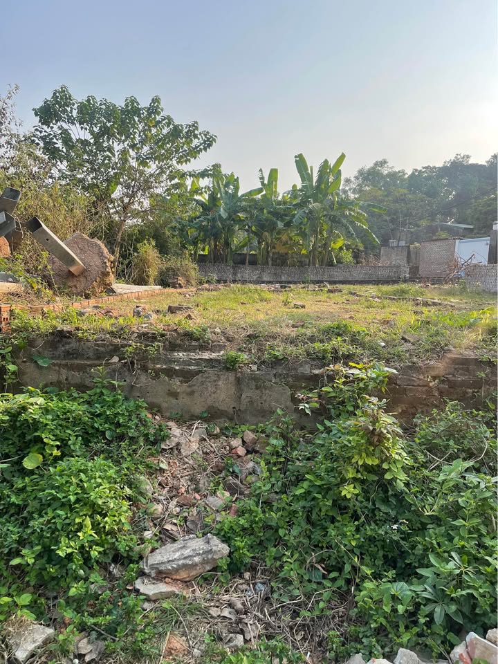 Đất Ninh Nội, Tân Dân, Sóc Sơn 60m² giá 2 tỷ - Đầu tư sinh lời ngay!