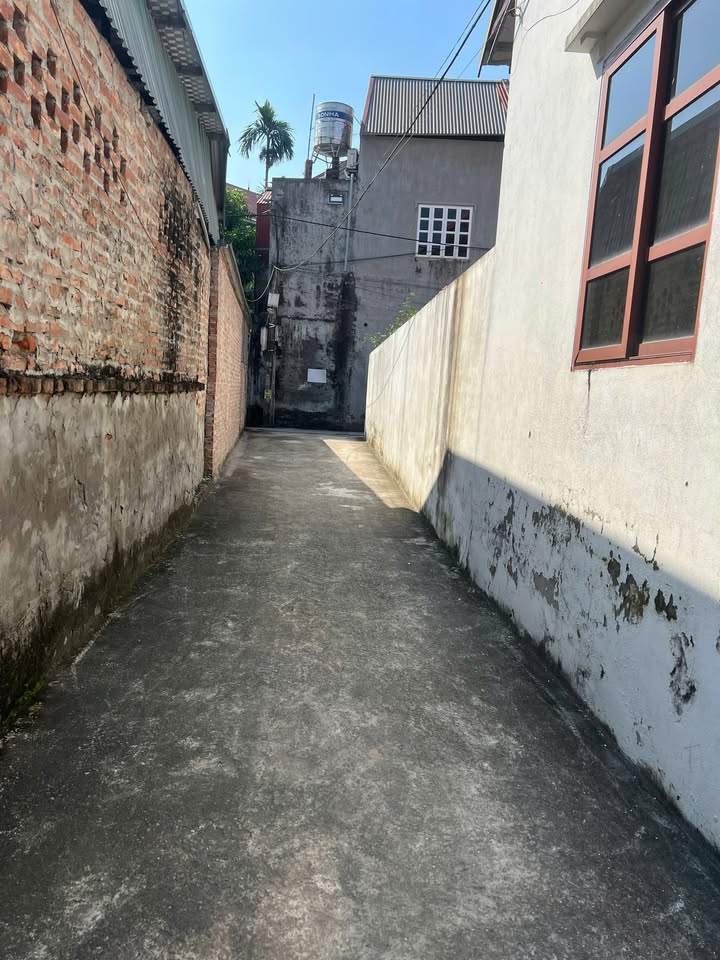 Đất nền Thọ Lộc Phúc Thọ 100m² giá 1 tỷ - Tiện ích đầy đủ, dân cư sầm uất!