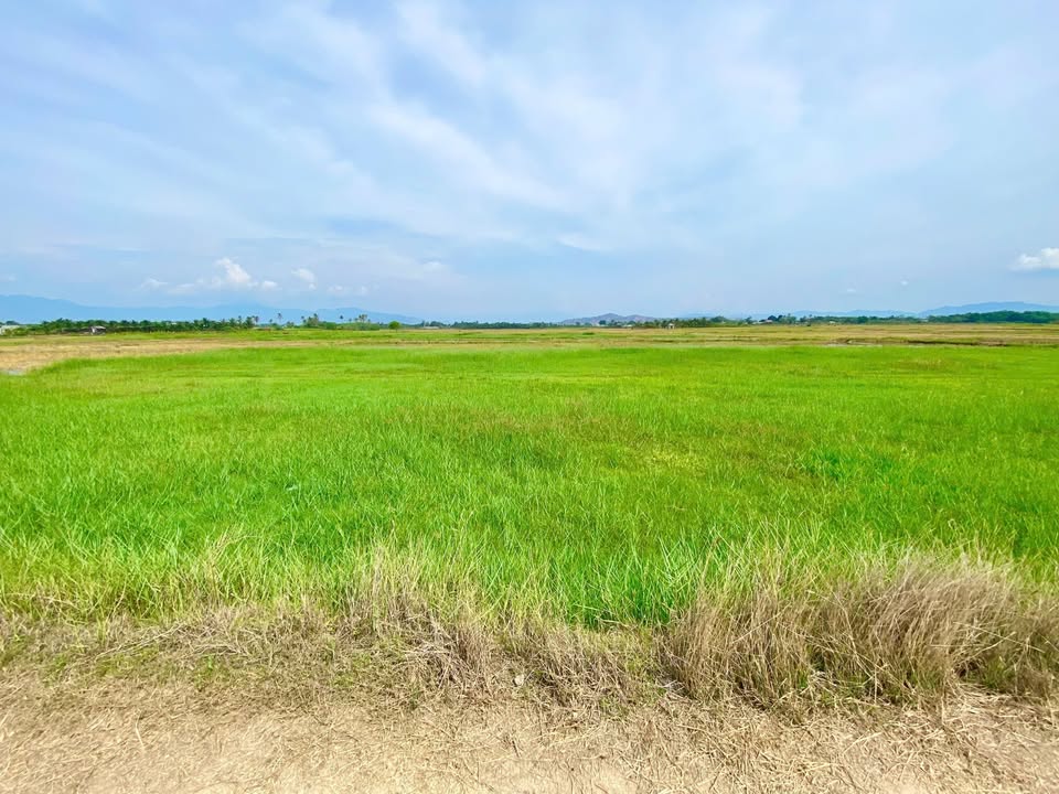 Đất nền Đô Vinh 606m² giá 500 triệu - Cơ hội đầu tư hấp dẫn!