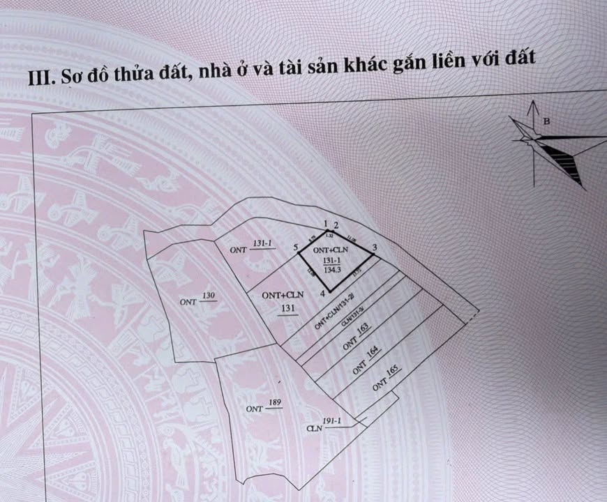 Đất nền Phú Thọ 120,3m² giá chỉ 1,xxx - Khu dân cư phát triển!